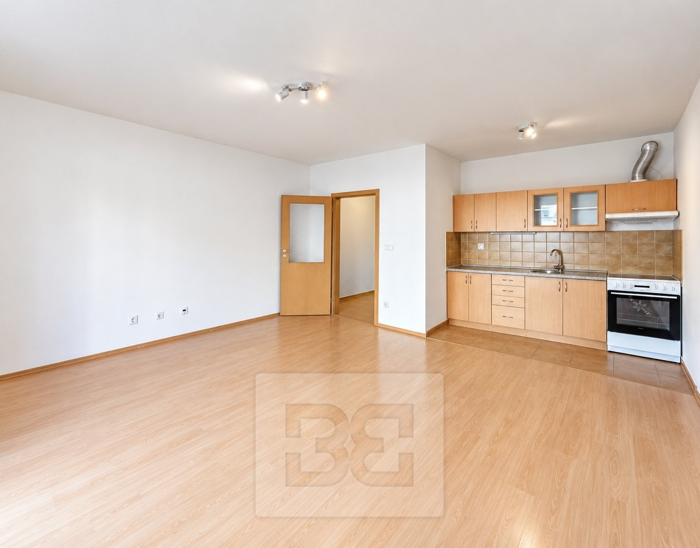 Pronájem bytu 1+kk 42 m², Liberec XXX-Vratislavice nad Nisou