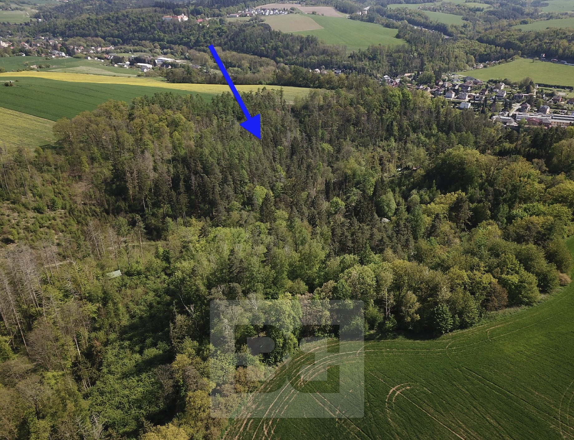 Prodej lesy, 4 369 m2 - Chocerady