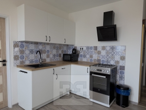 Pronájem bytu 1+1 36 m², České Budějovice 2