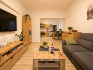 Pronájem bytu 2+1 60 m², Prostějov