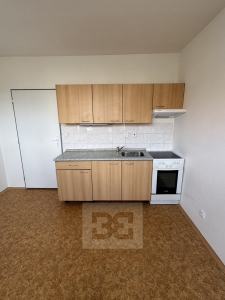 Pronájem bytu 1+kk 18 m², Písek