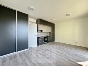 Pronájem byty 1+kk, 35 m² - Znojmo