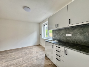 Pronájem ordinace, 50 m² - Střelice