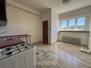 Pronájem bytu 1+1 43 m², Brno - Veveří