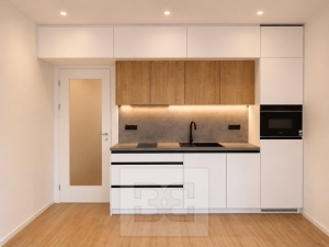 Rent flats 1+KT 30 m², Brno - Maloměřice