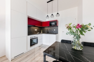 New apartment in Plzeň