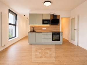 Rent flats 1+KT 40 m², Brno - Maloměřice