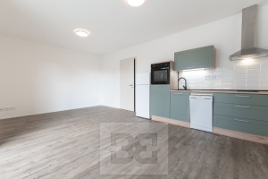 Pronájem bytu 1+kk 37 m², Plzeň - Skvrňany