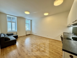 Rent flats 2+KT, 60 m² - Brno - Trnitá
