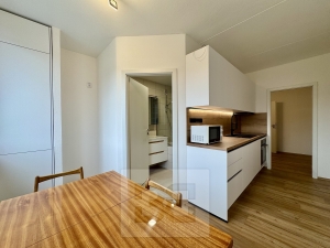 Rent flats 2+1 55 m², Zlín