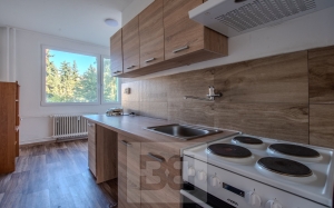 Pronájem bytu 3+1 78 m², Chomutov