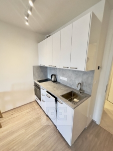Apartment for rent 1+kk, 33 m² with garage parking included in the price