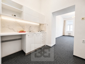 Pronájem bytu 1+1 40 m², Brno - Zábrdovice