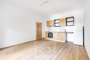 Apartment for rent 2+Kk 42 m², Praha - Řepy