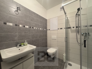 Rent flats 1+KT 33 m², Polná