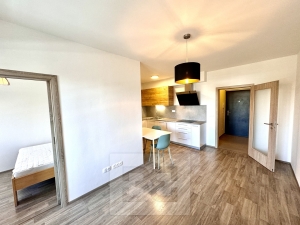 Brand new 1BED apartment in “Residence Veselská”, Prague 9 - Letňany, street Škrábkových