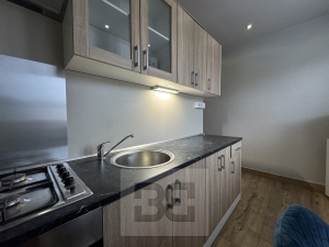 Pronájem bytu 1+1 43 m², Brno - Štýřice