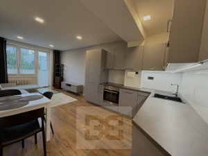 Rent flats 3+Kk 52 m², Praha - Žižkov