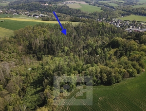 Prodej lesy, 4 369 m² - Chocerady
