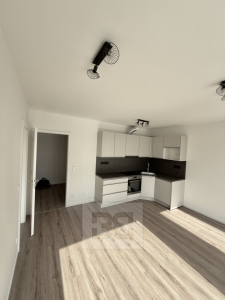 Pronájem bytu 2+kk 47 m², Kladno - Dubí