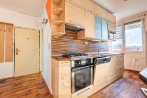 Pronájem bytu 3+kk 63 m², Plzeň - Lobzy