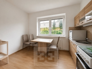 Pronájem bytu 2+1 45 m², Brno - Židenice