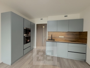 Pronájem bytu 1+kk 37 m², Praha - Hloubětín