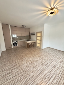 Apartment for rent 2+kk 50 m², Prague - Žižkov