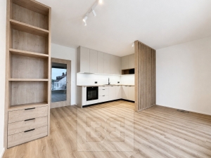 Pronájem bytu 1+kk 31 m², Brno - Horní Heršpice