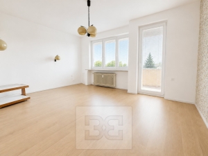 Rent flats 2+1 60 m², Brno - Lesná