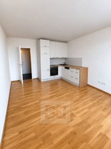 Pronájem bytu 1+kk 30 m², Kladno