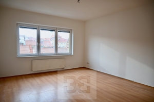 Apartment 2+1 in Vyškov