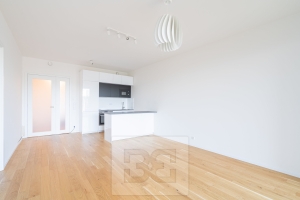 Pronájem bytu 2+kk 63 m², Praha - Holešovice
