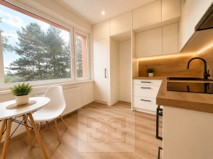 Pronájem bytu 1+1 39 m², Brno - Bystrc