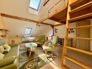 Rent flats 2+KT, 60 m² - Velké Opatovice