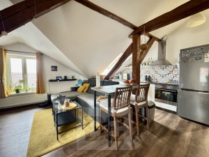 Pronájem bytu 3+kk 100 m², Brno - Horní Heršpice