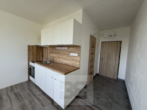 Pronájem bytu 1+1, 36 m² - Písek - Budějovické Předměstí