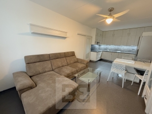Apartment for rent 3+Kk 61 m², Zliv