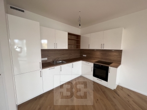 Prodej bytu 2+kk 66 m², Praha - Strašnice