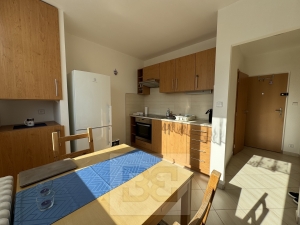 Rent flats 1+1, 35 m² - Brno - Kohoutovice