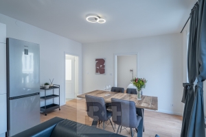 Pronájem bytu 2+kk 48 m², Praha - Vinohrady