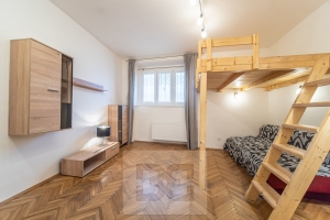 Rent flats 1+1 29 m², Praha - Podolí