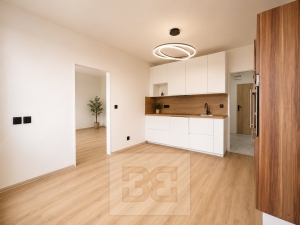 Rent flats 2+KT 50 m², Brno - Černá Pole