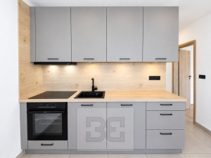 Pronájem bytu 2+1 55 m², Brno - Žabovřesky