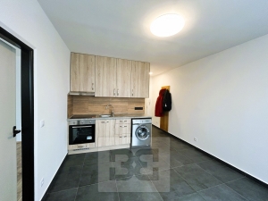 Pronájem byty 1+1, 38 m² - České Budějovice 3