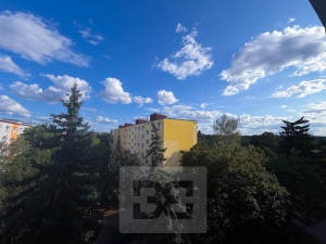 Pronájem bytu 2+kk 36 m², Plzeň - Skvrňany