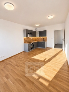 Pronájem bytu 2+kk 52 m², Kladno
