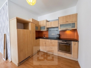 Rent flats 1+KT, 33 m² - České Budějovice 3