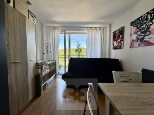 Rent flats 1+KT 25 m², Brno - Královo Pole