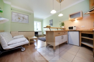 Furnished 1+kk 27 m² at Nusle